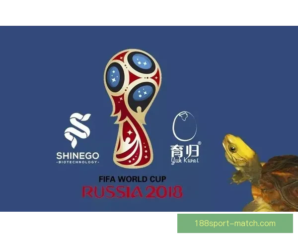 世界杯竞猜平台下载助你畅享赛事激情畅游精彩竞猜世界